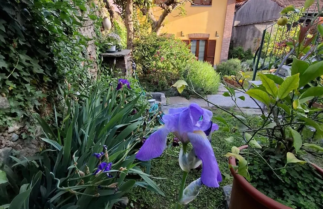 Casa Lavanda-1