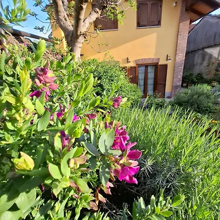 Casa Lavanda-2