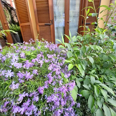 Casa Lavanda-3